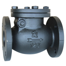 ANSI Class 125 Double Flange Swing Check Valve